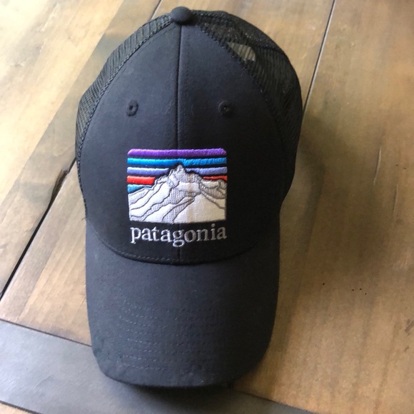 Patagonia Other - Patagonia hat